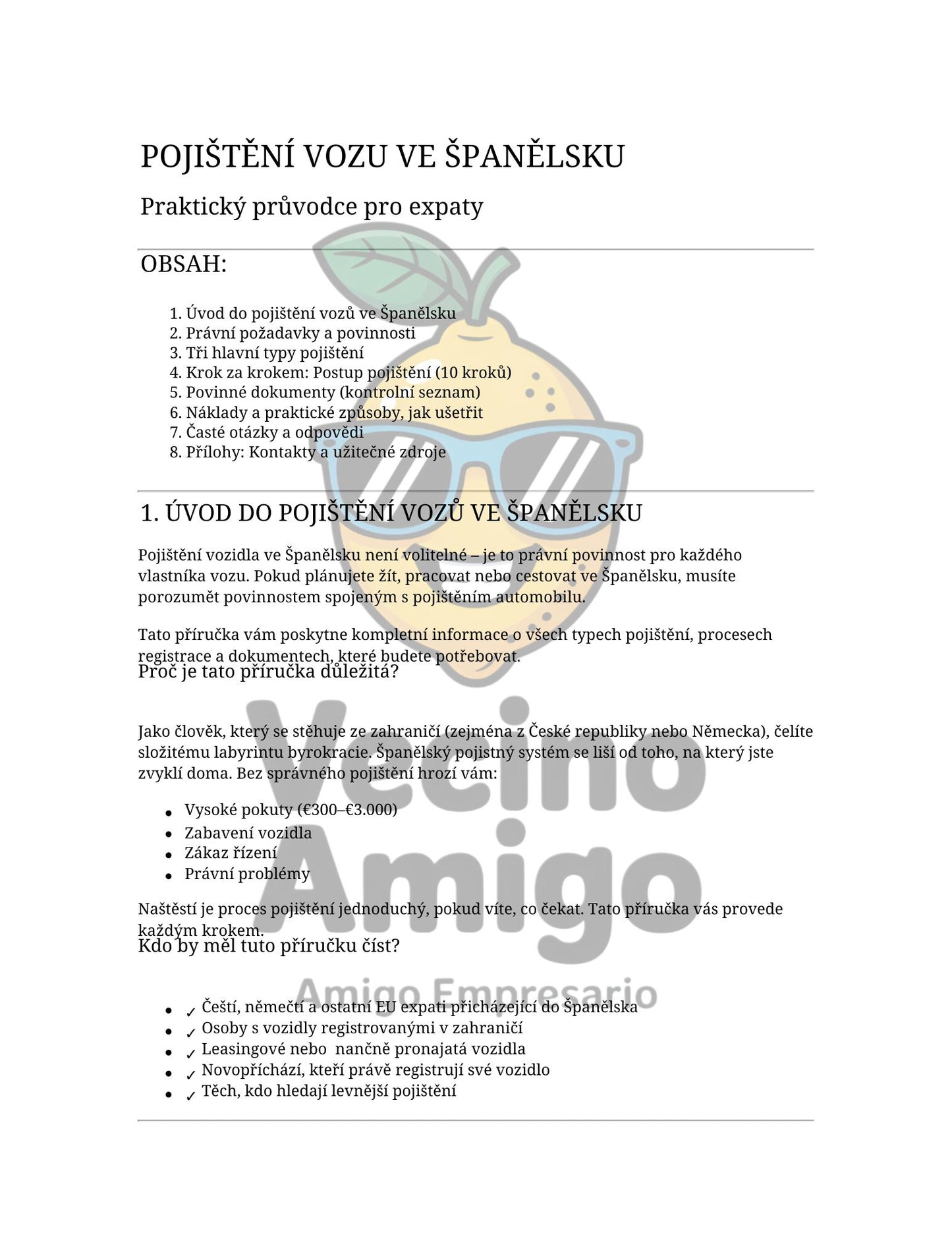 POJIŠTĚNÍ VOZU VE ŠPANĚLSKU