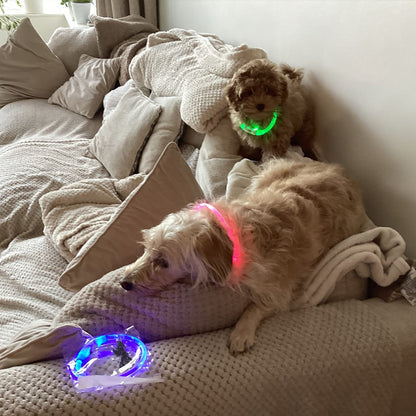 3-Mode LED Dog Collar - USB Rechargeable, Detachable &amp; Glowing Pet Safety Necklace for Night