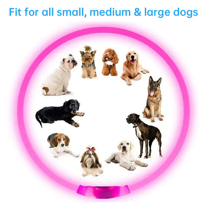 3-Mode LED Dog Collar - USB Rechargeable, Detachable &amp; Glowing Pet Safety Necklace for Night