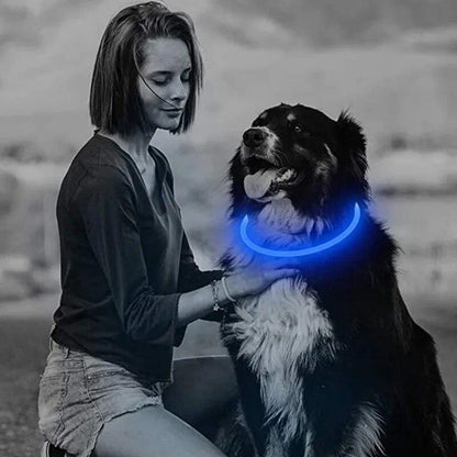 3-Mode LED Dog Collar - USB Rechargeable, Detachable &amp; Glowing Pet Safety Necklace for Night