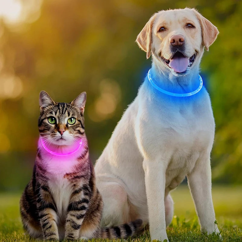 3-Mode LED Dog Collar - USB Rechargeable, Detachable &amp; Glowing Pet Safety Necklace for Night