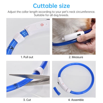 3-Mode LED Dog Collar - USB Rechargeable, Detachable &amp; Glowing Pet Safety Necklace for Night